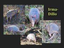 Load image into Gallery viewer, ZOO WORLD 81 T SHIRTS