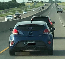 Load image into Gallery viewer, Fly The ZOO Sticker-Dallas-2019